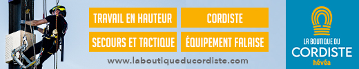 Hévéa